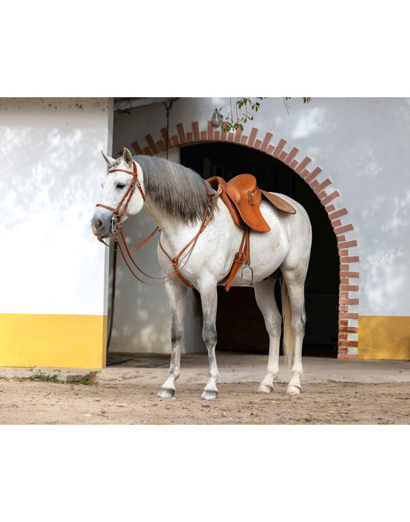 Selim Português MIX