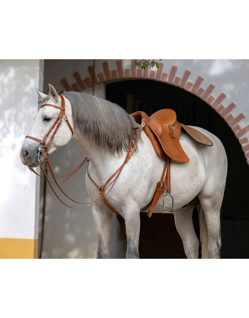 Selim Português MIX