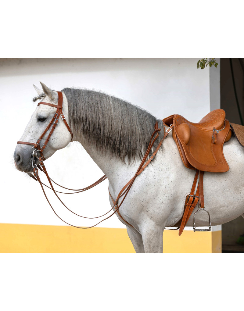 Selim Português MIX