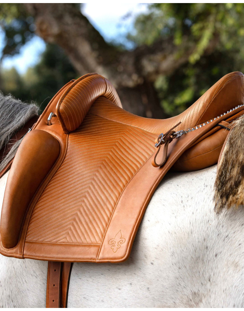 D. DINIS Saddle