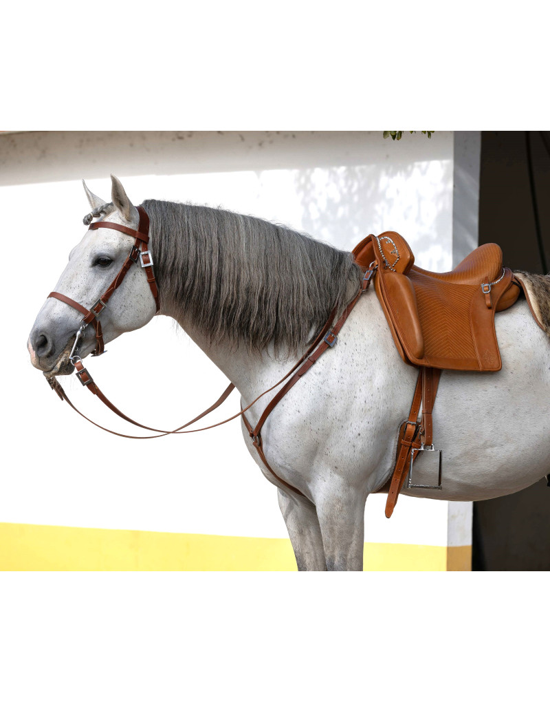 D. DINIS Saddle