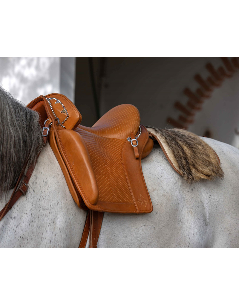 D. DINIS Saddle