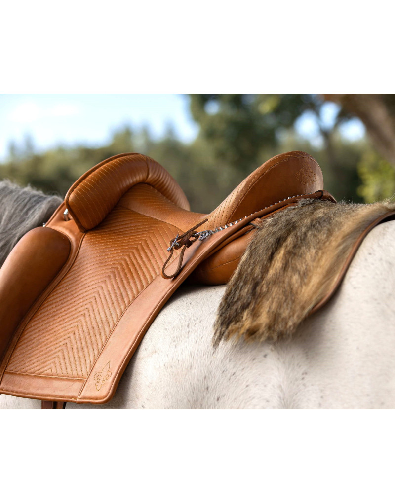 D. DINIS Saddle