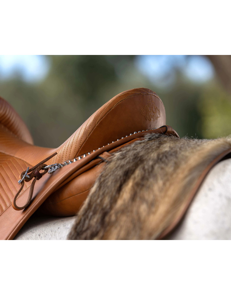 D. DINIS Saddle