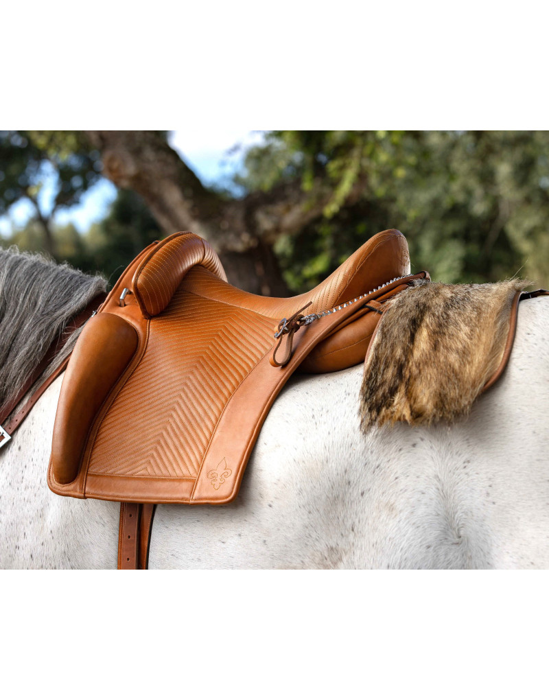 D. DINIS Saddle