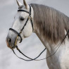 Baroque Bridles