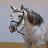 Mixed Bridles