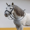 Bridles With or Without Bit