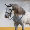 Bridles with Snaffle