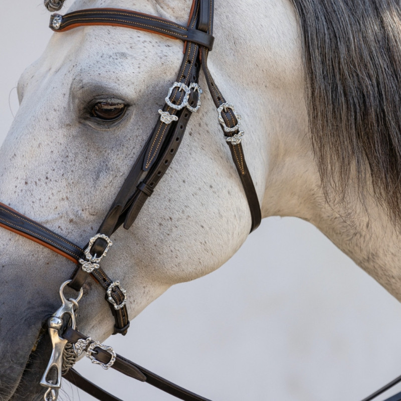 Caballo