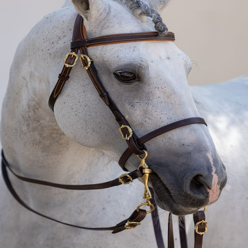Horse rider