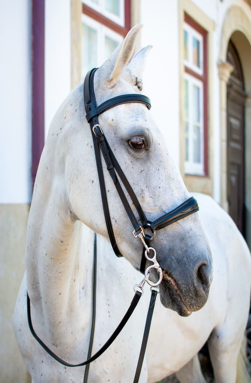 Cabeçadas Mistas Alemãs