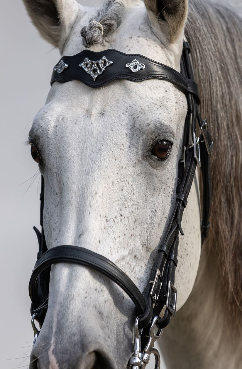 Cabeçada Meia Cortesia